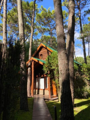 Cabañas y Apart Utopia